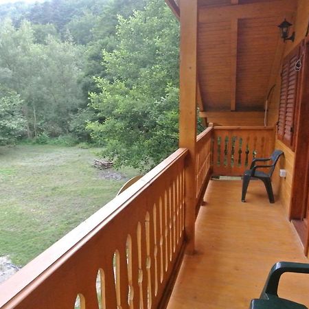 Chalet By The River Văliug Buitenkant foto