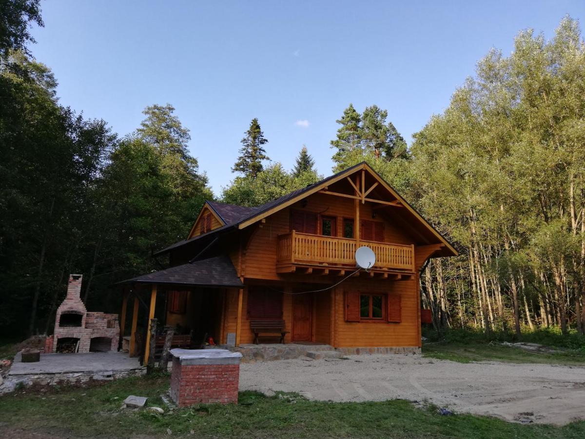 Chalet By The River Văliug Buitenkant foto