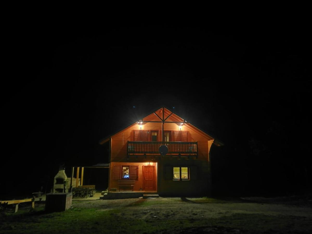 Chalet By The River Văliug Buitenkant foto