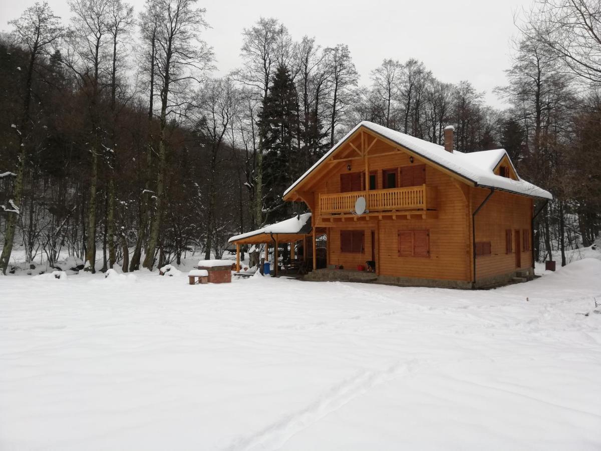 Chalet By The River Văliug Buitenkant foto