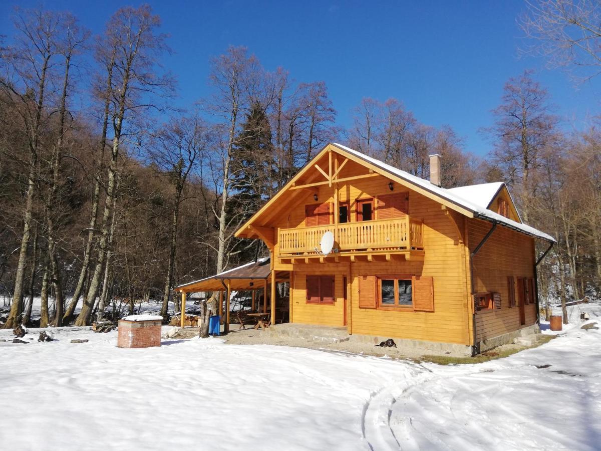Chalet By The River Văliug Buitenkant foto