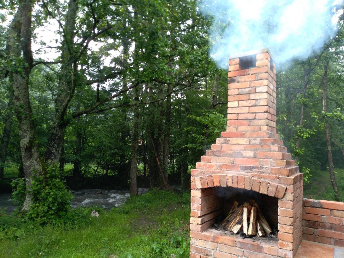 Chalet By The River Văliug Buitenkant foto