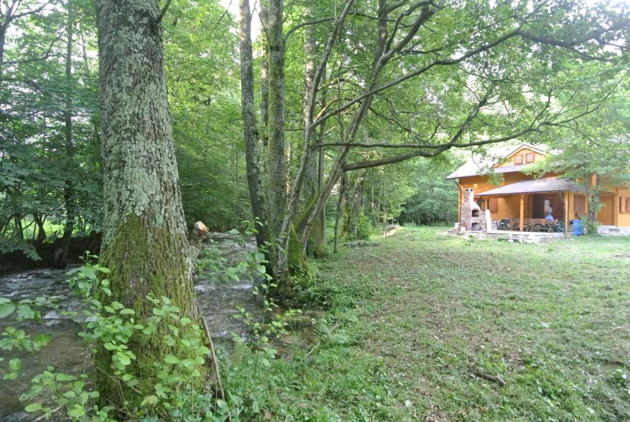 Chalet By The River Văliug Buitenkant foto
