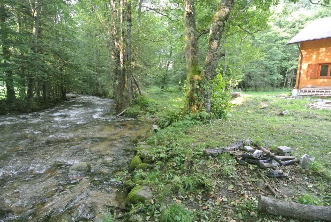 Chalet By The River Văliug Buitenkant foto