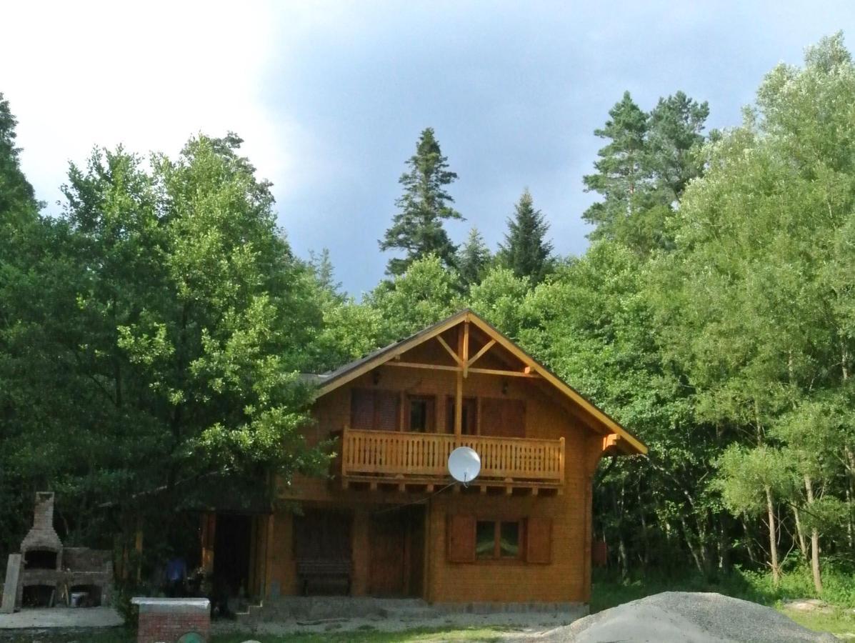 Chalet By The River Văliug Buitenkant foto